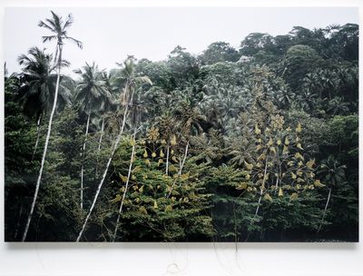 Mónica de Miranda, Untitled, from the 'Linetrap' series (2014). Cotton thread, Inkjet print. 40 x 60 cm.