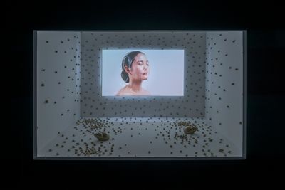 Chulayarnnon Siriphol, Golden Spiral (2018). Video installation. Sound, colour. 18 min.