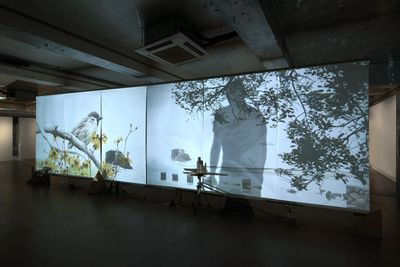 Lam Tung-pang, A Day of two Suns (2019). Video projections on loop with no sound on paper, objects. Exhibition view: Saan Dung Gei, Blindspot Gallery, Hong Kong (26 March–11 May 2019). Courtesy Blindspot Gallery.