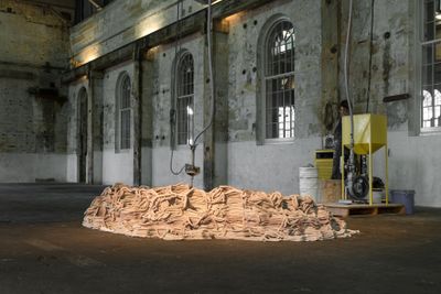 Anya Gallaccio, Beautiful Minds (2015–ongoing). Aluminium clay, pump, software. 5 x 5 x 5 m. Exhibition view: the 21st Biennale of Sydney, Cockatoo Island, Sydney (16 March–11 June 2018).