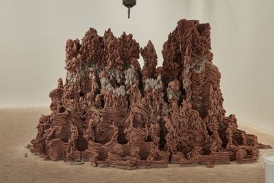 Anya Gallaccio, Beautiful Minds (2015–ongoing). Aluminium clay, pump, computer software. 5 x 5 x 5 m. Exhibition view: Beautiful Minds, Thomas Dane Gallery, London (3 February–25 March 2017).