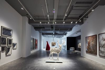Exhibition view: Voice of Asia, Arario Gallery, Shanghai (1 July–27 August 2017).