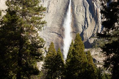Catherine Opie, Yosemite Falls #2 (2015). Pigment print, edition of 5. 76.2 x 114.3 cm; 78.7 x 116.8 x 5.1 cm (incl. frame). © Catherine Opie. Courtesy Regen Projects, Los Angeles and Lehmann Maupin, New York and Hong Kong.