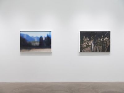 Exhibition view: Catherine Opie, So long as they are wild, Lehmann Maupin, Hong Kong (17 May–7 July 2018). Courtesy the artist and Lehmann Maupin. Photo: Kitmin Lee.