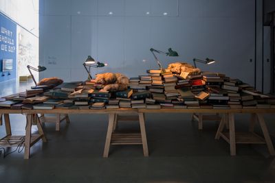 Zhu Xi, Dream Scriptures (2016). Books, specimen, lamp, wood and fan. 500 x 150 x 170 cm. Exhibition view: Titled Proregress—Art in an Age of Historical Ambivalence, 12th Shanghai Biennale, Power Station of Art (10 November 2018–10 March 2019). Courtesy Shanghai Biennale.