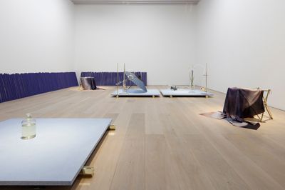 Exhibition view: Dane Mitchell, Iris, Iris, Iris, Mori Art Museum in Tokyo (18 November 2017–1 April 2018). Courtesy the artist and Mossman, Wellington.