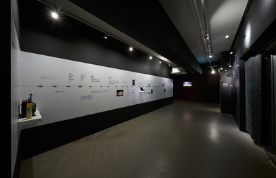 Exhibition view: What About Home Affairs?, Para Site, Hong Kong (8 December 2018–17 February 2019). Courtesy Para Site.