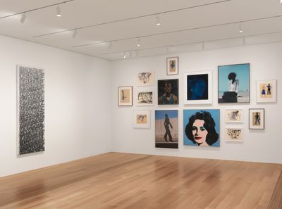 Exhibition view: Blue Black, West Gallery, Pulitzer Arts Foundation, St Louis, Missouri (9 June–7 October 2017).