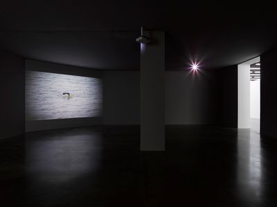 He Xiangyu, The Swim (2017). Exhibition view: He Xiangyu: Evidence, White Cube Bermondsey, London (7 February–8 April 2018).
