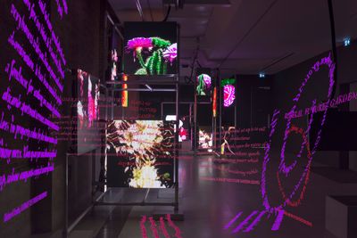 A dark room with chunk of pink and purple texts floating around alongside screens showing stills of plants, as a part of artist Hito Steyerls's exhibition at the Serpentine Galleries in London