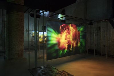 Hito Steyerl, This is the Future (2019). Video installation, environment. Single channel HD video, colour, sound. 16 min. Environment: raised walkways, projection screens, Smart Glass panel. Dimensions variable. Exhibition view: May You Live In Interesting Times, 58th Venice Biennale, Arsenale (11 May–24 November 2019). Courtesy the artist, Andrew Kreps Gallery, New York; Esther Schipper, Berlin. Photo: © Andrea Roessetti.