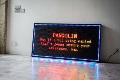 Tuan Andrew Nguyen, The Warning (2017). LED sign panel. 104 x 200 x 9 cm.