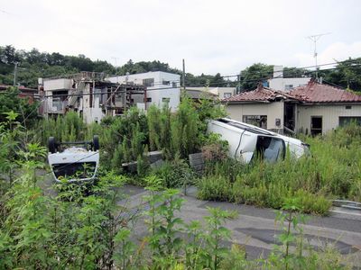 View of the Fukushima exclusion zone. Courtesy Don’t Follow the Wind.