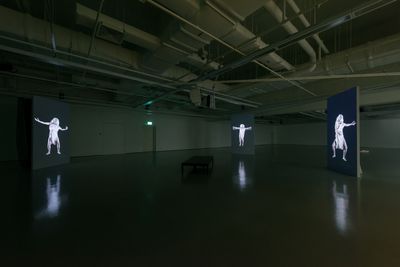 Exhibition view: Jesse Jones: Tremble Tremble, Institute of Contemporary Arts Singapore, LASALLE College of the Arts (4 November 2017–28 January 2018).
