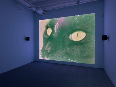 Laure Prouvost, Monteverdi ici (2018). HD video. Dimensions variable. Exhibition view: Laure Prouvost, Lisson Gallery, New York (9 March–14 April 2018).