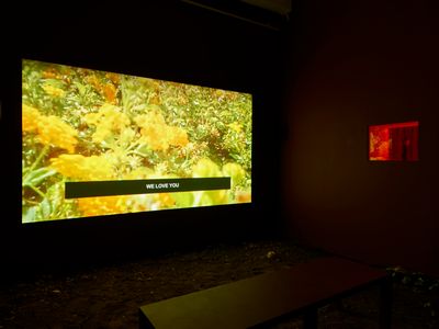 Laure Prouvost, Into All That Is Here (2015). HD Video. Dimensions variable. Exhibition view: Laure Prouvost, Lisson Gallery, New York (9 March–14 April 2018). Courtesy © the artist and Lisson Gallery, New York/London.