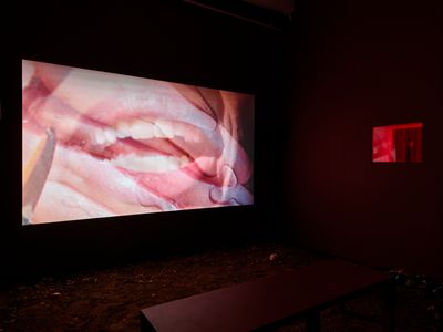 Laure Prouvost, Into All That is Here (2015). HD Video. Dimensions variable. Courtesy © the artist and Lisson Gallery, New York/London.
