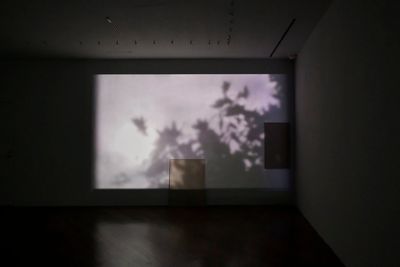 Exhibition view: Lee Kit, We used to be more sensitive, Hara Museum of Contemporary Art, Tokyo (16 September–24 December 2018). Courtesy © the artist and ShugoArts. Photo: Shigeo Muto.