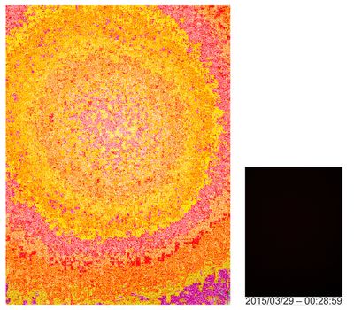 刘月，《为极限值得唯一14 2015-03-29 – 00:28:59》，2015。爱普生艺术微喷、哈内姆勒摄影纯棉硫化钡纸基纸，200×150cm（彩色），29×20.5cm（黑色）。图片提供：香格纳画廊。