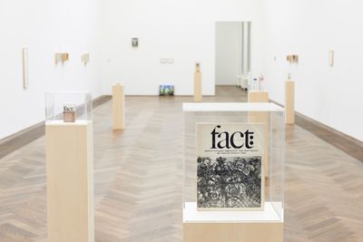 Maryam Jafri, Product Recall: An Index of Innovation. Fact (2014–2015). Framed texts, photographs, objects. Courtesy the artist and Laveronica arte contemporanea.