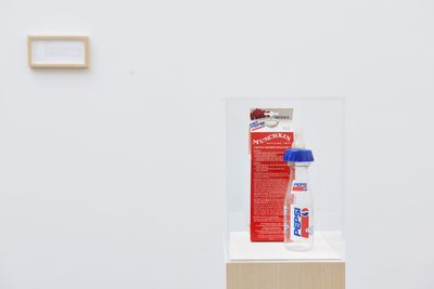 Maryam Jafri, Product Recall: An Index of Innovation. Pepsi Baby (2014–2015). Framed texts, photographs, objects. Courtesy the artist and Laveronica arte contemporanea.
