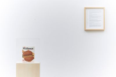 Maryam Jafri, Product Recall: An Index of Innovation. Plus Meat (2014–2015). Framed texts, photographs, objects. Courtesy the artist and Laveronica arte contemporanea.