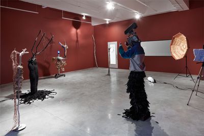 Exhibition view: Mamour, Tina Kim Gallery, New York (2 November 2017–20 January 2018).