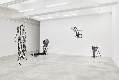 Exhibition view: Mamour, Tina Kim Gallery, New York (2 November 2017–20 January 2018).