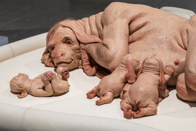 Patricia Piccinini, The Young Family (detail) (2002). Exhibition view: Patricia Piccinini & Joy Hester: Through love ..., TarraWarra Museum of Art (25 November 2018–11 March 2019). Collection: Bendigo Art Gallery, Victoria; RHS Abbott Bequest Fund 2003. Courtesy the artist, Tolarno Galleries, Melbourne, and Roslyn Oxley9 Gallery, Sydney. Photo: Rick Liston.
