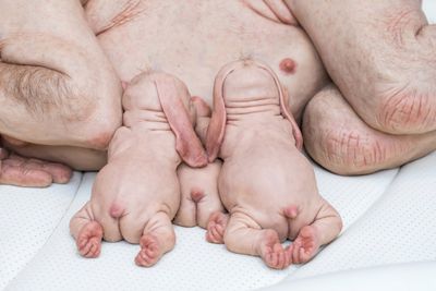 Patricia Piccinini, The Young Family (detail) (2002). Exhibition view: Patricia Piccinini & Joy Hester: Through love ..., TarraWarra Museum of Art (25 November 2018–11 March 2019). Collection: Bendigo Art Gallery, Victoria; RHS Abbott Bequest Fund, 2003. Courtesy the artist, Tolarno Galleries, Melbourne, and Roslyn Oxley9 Gallery, Sydney. Photo: Rick Liston.