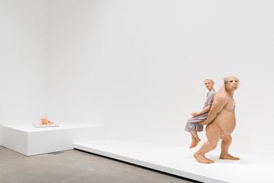 Patricia Piccinini, The Carrier (2012). Exhibition view: Patricia Piccinini: Curious Affection, Gallery of Modern Art, Brisbane (24 March–5 August 2018).