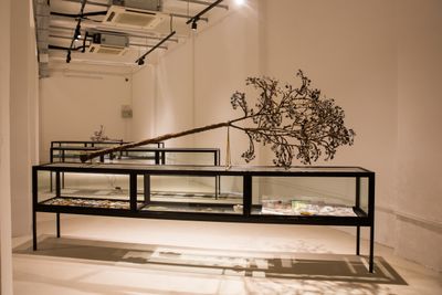 Ruangsak Anuwatwimon, Reincarnations (Hopea Sangal) (2019). Exhibition view: Every Step in the Right Direction, Singapore Biennale 2019, Singapore Art Museum (22 November 2019–22 March 2020). Courtesy Singapore Art Museum.
