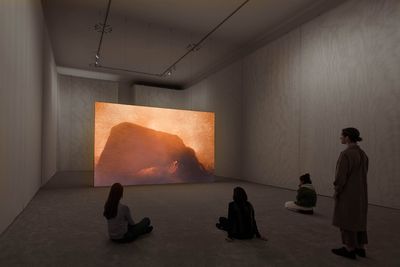 Rachel Rose, Wil-o-Wisp (2018). Video installation with sound, double-lined mesh scrim, carpet, projection screen, and semi-transparent projection scrims. Exhibition view: Rachel Rose: Wil-o-Wisp/The Future Fields Commission, the Philadelphia Museum of Art, Pensyllvania (2 May–16 September 2018).  Jointly commissioned and owned by the Philadelphia Museum of Art and Fondazione Sandretto Re Rebaudengo. Funding is made possible for the Philadelphia Museum of Art through the Contemporary Art Revolving Fund. Image © 2018 Rachel Rose. Courtesy Philadelphia Museum of Art, 2018. Photo: Tim Tiebout.