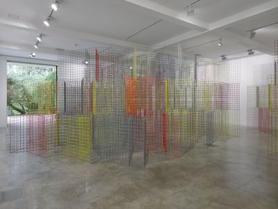Rana Begum, No. 670 (2016). Powder-coated mesh. Dimensions variable. Exhibition view: The Space Between, Parason Unit, London (20 June–18 September 2016).