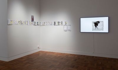 Raquel Ormella, City without crows (2018) (Detail). Digital prints, single-channel video, found objects. Dimensions variable. Exhibition view: I hope you get this: Raquel Ormella, Shepparton Art Museum, Shepparton (26 May–12 August 2018).