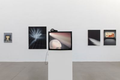 Exhibition view: Tala Madani, Oven Light, Portikus, Frankfurt (9 February–14 April 2019). © Tala Madani, 303 Gallery, and Pilar Corrias. Courtesy Portikus. Photo: Diana Pfammatter.