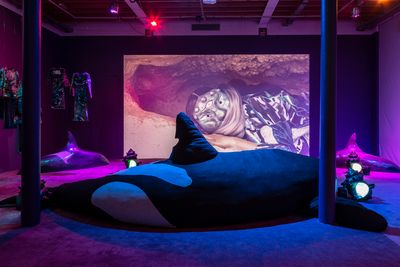 Exhibition view: Zadie Xa, Child of Magohalmi and the Echoes of Creation, Tramway, Glasgow (26 October–15 December 2019). Conceived in collaboration with Benito Mayor Vallejo. Courtesy the artist. Photo: Keith Hunter.