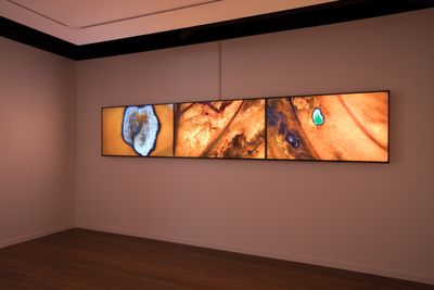 Exhibition view: Angela Tiatia, Tuvalu, Kuiper Projects, Brisbane (12–20 October 2018).