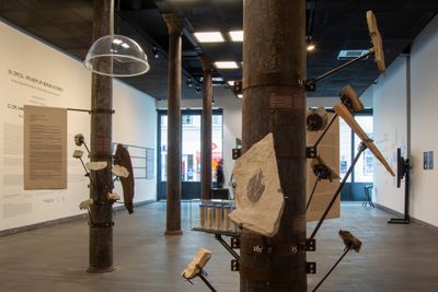 A gallery space features a series of poles from which fossils project into the space.