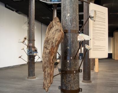 A gallery space features a series of poles from which fossils project into the space.