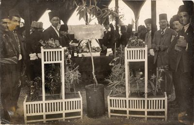 An archival photograph features a group of men at the Adana Agricultural Fair. They are surrounding a group of saplings. 