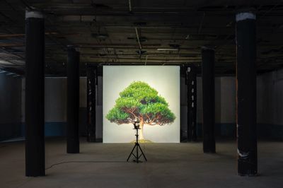 Ceal Floyer, Overgrowth (2004). Medium format slide and medium format slide projector, Dimensions variable. Exhibition view: Once Upon A Time Inconceivable, Protocinema, Istanbul (4 September–10 October 2021). © Ceal Floyer.