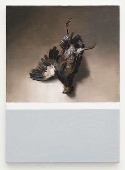A vertical canvas has been divided in two, grey beneath while the top half is beige and features a dead bird lying on its back.