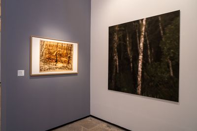 Two blurred prints showing distorted landscapes at night.