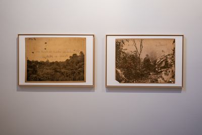 Two chrome coloured prints showing text above landscapes and solider walking through branches.