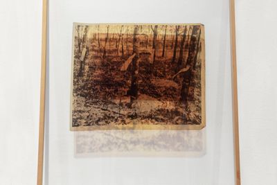 Translucent landscape print in bronze tones inside a wooden frame.