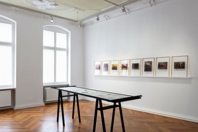 A row of translucent neon-toned prints hanging above a table displaying images.