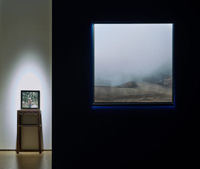 Small video installation showing man in jungle besides large print showing fog covering landscape. 