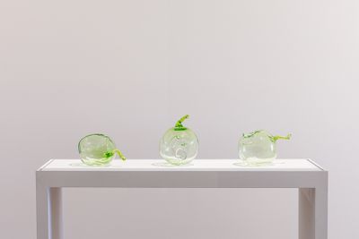 Yhonnie Scarce, Nucleus (2020). Exhibition view: Looking Glass: Yhonnie Scarce and Judy Watson, TarraWarra Museum of Art, Tarrawarra (28 November–28 March 2021).