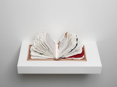 Candice Lin, Physiologus (2016). Artist book. Binding and transcription by Joel Freeman. 17 x 16 x 4.5 cm. Commissioned by Gasworks.